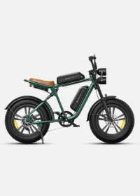 ENGWE M20 Dual Batteries Long Range E-bike product image view 1