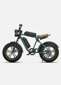ENGWE M20 Dual Batteries Long Range E-bike product image view 15
