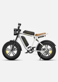 ENGWE M20 Dual Batteries Long Range E-bike product image view 13