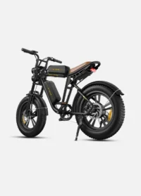 ENGWE M20 Dual Batteries Long Range E-bike product image view 20