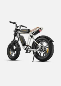 ENGWE M20 Dual Batteries Long Range E-bike product image view 19