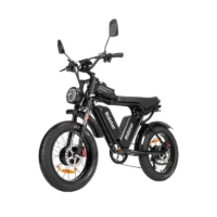 New Ridstar Q20Pro Fat Tire Electric Bicycle product image view 5