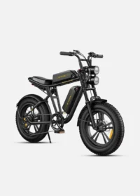 ENGWE M20 Dual Batteries Long Range E-bike product image view 9