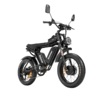 New Ridstar Q20Pro Fat Tire Electric Bicycle product image view 4