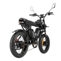 New Ridstar Q20Pro Fat Tire Electric Bicycle product image view 3
