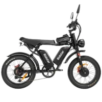 New Ridstar Q20Pro Fat Tire Electric Bicycle product image view 1