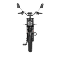 New Ridstar Q20Pro Fat Tire Electric Bicycle product image view 2