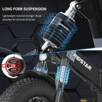 New Ridstar H20 Electric Mountain Bike product image view 2