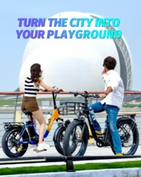 Ridstar DC26 Folding Fat Tire Mountain Electric Bike product image view 3