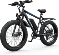 Varun VIPDRIVE CLIMBER 1.1 Electric Bike product image view 1