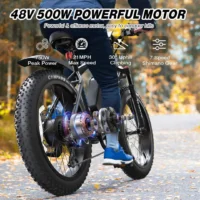 Varun VIPDRIVE CLIMBER 1.1 Electric Bike product image view 5