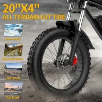 Ridstar Q20 48V 20AH Fat Tire Ebike ( rebranded as YVY C20-available now) product image view 2