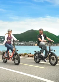 ENGWE L20 2.0 Step-Thru Utility E-bike (Front Basket Excluded) product image view 13