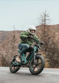 ENGWE M20 Dual Batteries Long Range E-bike product image view 6