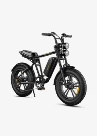 ENGWE M20 Dual Batteries Long Range E-bike product image view 4