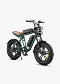 ENGWE M20 Dual Batteries Long Range E-bike Green product image view 2