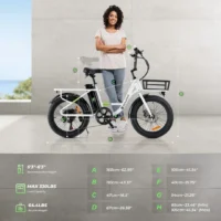 isinwheel U7 Cargo Bike product image view 7