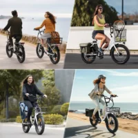 isinwheel U7 Cargo Bike product image view 6