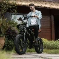 CYCROWN CycHunter Moped Electric Bike product image view 8