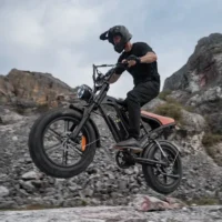 CYCROWN CycHunter Moped Electric Bike product image view 7