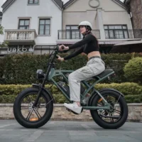 CYCROWN CycHunter Moped Electric Bike product image view 6