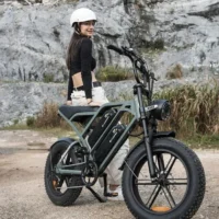 CYCROWN CycHunter Moped Electric Bike product image view 4