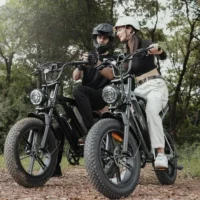 CYCROWN CycHunter Moped Electric Bike product image view 3