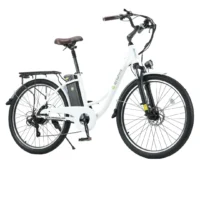iSinwheel U2 Electric Cruiser Bike product image view 10