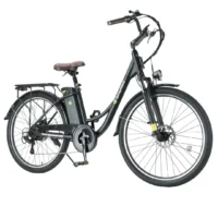 iSinwheel U2 Electric Cruiser Bike product image view 9