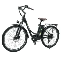 iSinwheel U2 Electric Cruiser Bike Black product image view 8