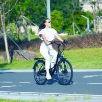 iSinwheel U2 Electric Cruiser Bike product image view 12