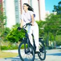 iSinwheel U2 Electric Cruiser Bike product image view 11