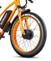 VICTRIP®SURNAT N12 Ebike product image view 16