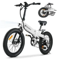 iSinwheel U5 Folding Electric Bike White product image view 13
