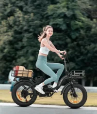 VICTRIP® TITAN S Foldable Ebike product image view 6