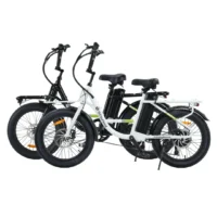 isinwheel U7 Cargo Bike product image view 5