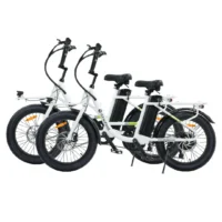 isinwheel U7 Cargo Bike product image view 4