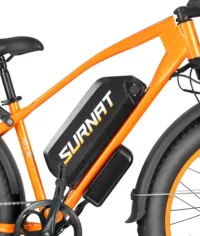 VICTRIP®SURNAT N12 Ebike product image view 12