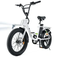 isinwheel U7 Cargo Bike White product image view 2