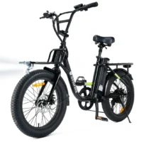 isinwheel U7 Cargo Bike Black product image view 1
