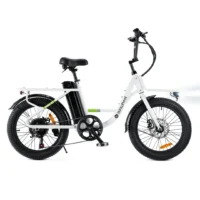 isinwheel U7 Cargo Bike product image view 16