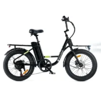 isinwheel U7 Cargo Bike product image view 15