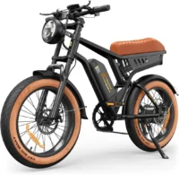 isinwheel R6 Retro Electric Bike for Adults product image view 1