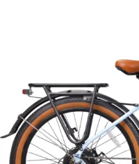 VICTRIP®SURNAT N26 Ebike product image view 7