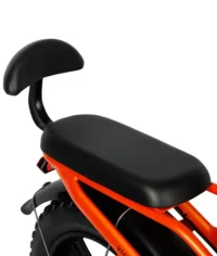 VICTRIP® R5 Foldable Electric Bike product image view 13