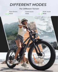 isinwheel M10Plus Electric Bike for Adults product image view 2