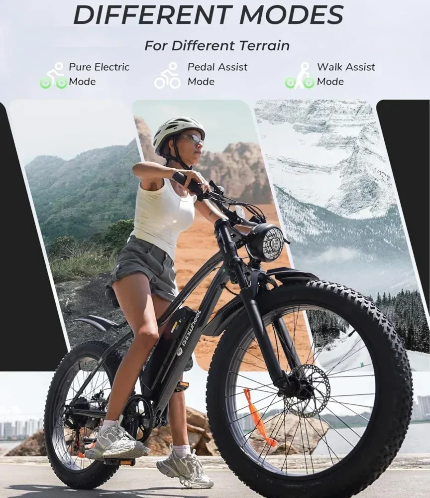 isinwheel M10Plus Electric Bike for Adults product image view 2