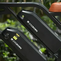 CYCROWN CycHunter Moped Electric Bike product image view 12