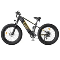CYCROWN CycUltra All-terrain Electric Bike product image view 12
