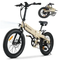 iSinwheel U5 Folding Electric Bike product image view 1